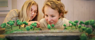 Eleverna vädjar till kommunen om en lösning på den farliga skolvägen