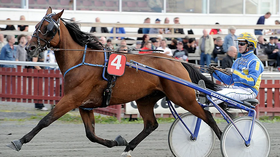 Helge Palema.