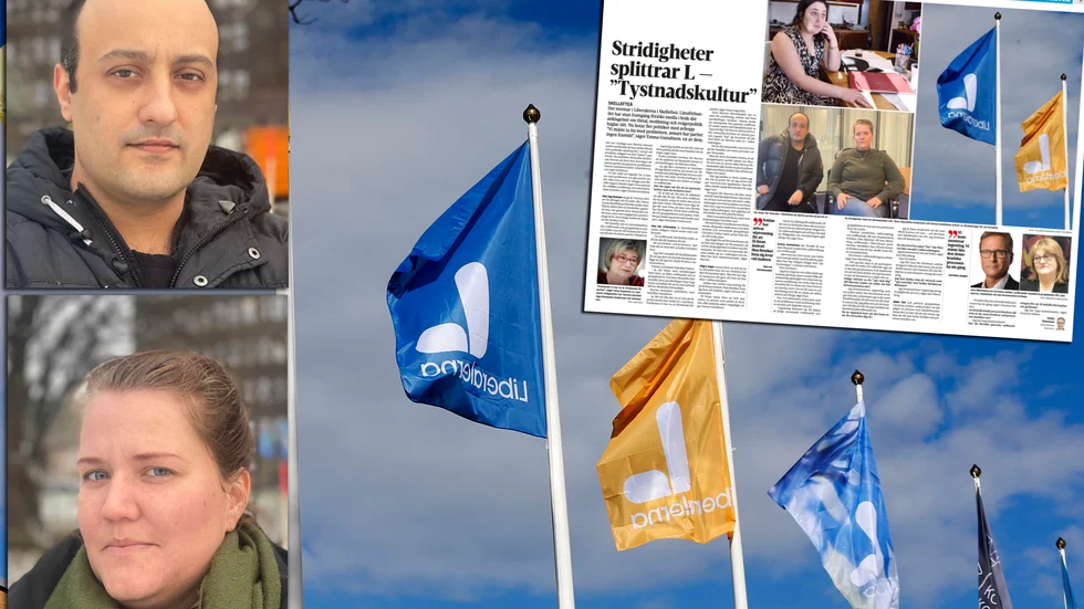 De liberaler som gick ut i media och berättade om bland annat mobbning och misstänkt förtal, hävdar att de inte har erbjudits stöd. 