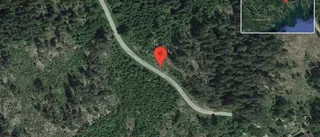 Fallna träd skapar problem i trafiken på väg 835