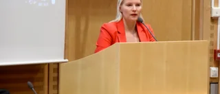 Krisande tandvård vållade debatt