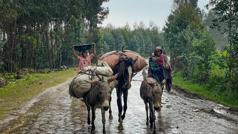 Stora delar av Myanmars befolkning behöver humanitär hjälp, enligt FN. Arkivbild.