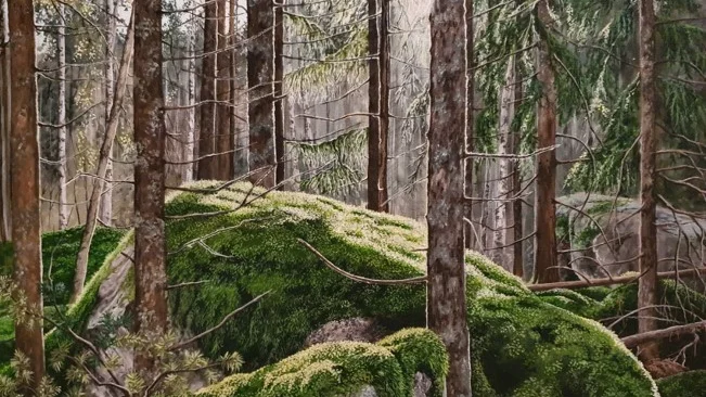 I sin konst inspireras Eva Akne av de uppländska skogarna.