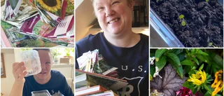 I fjol tog hon över drömlotten • Caroline har stora planer för årets odlingssäsong • ”Jag har alldeles för mycket”