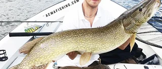 Fiskefantasten Nicklas dröm gick i uppfyllelse – fångade 16-kilosgädda: ”Helt sinnessjukt”