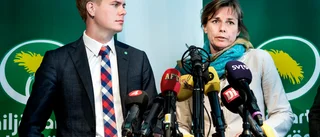 Vita heteromän med Tesla är MP:s chans