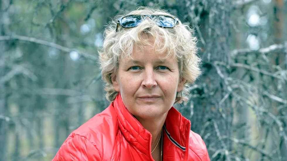 ”En kommun i varje län får ju priset och vi har ju varit utanför prispallen tidigare, men nu står vi högst upp. Det är otroligt roligt”, säger Arjeplogs kommunalråd Britta Flinkfeldt (S) om utmärkelsen årets Tillväxt bland Norrbottens kommuner. (Arkivbild)