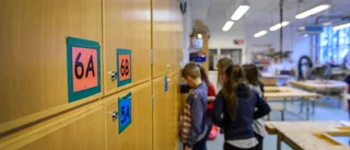 Får valfriheten kosta hur mycket som helst?
