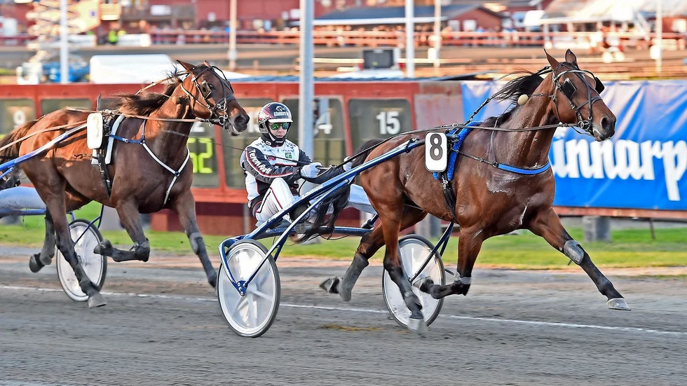 Victory Bonsai och Mika Fors vinner den första V75-avdelningen på Skelleftetravet. Foto: LJ.