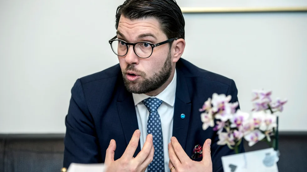 Sverigedemokraterna har framgångsrikt utnyttjat människors önskan om att få sin världsbild bekräftad. Foto: Lars Pehrson/SvD/TT