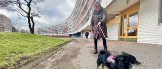 Trots ett liv fyllt med allvarliga sjukdomar – så lyckades Pia få bättre hälsa: "Sitt inte hemma och tyck synd om dig själv"