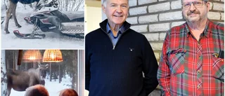 Efter larmet – de tar älgarna i försvar • Vill locka bort dem med höbalar • "Vill inte ha en ohejdad jakt"