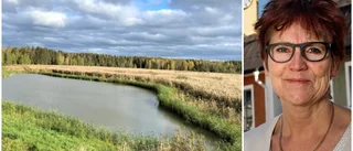 Färdigställa Karö utan data är oansvarigt