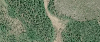 2 850 000 kronor för skogsmark i Jörn