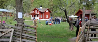 Mer liv planeras på vilda Röllingen