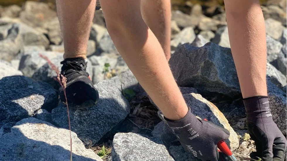 Melwin är en av ungdomarna i Piteå Kommun som arbetar på ett feriejobb.