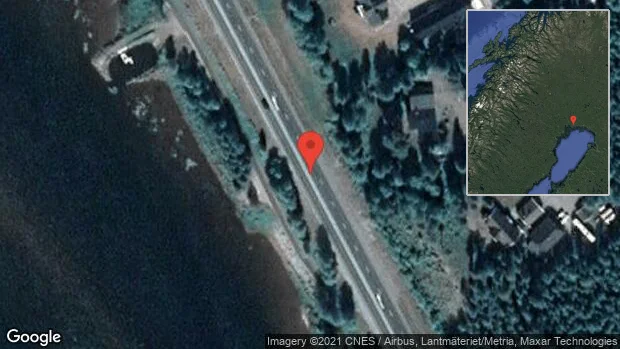 Djur på vägen på E4