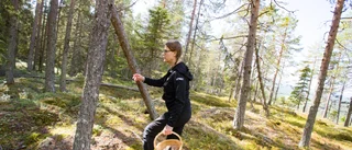 Nu ska svampmarkerna söder om Luleå kartläggas – fyra tips inför svampturen