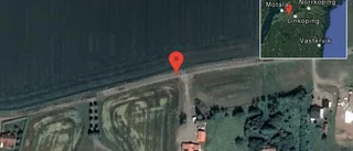 Fallna träd skapar problem i trafiken