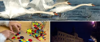 Här är höstlovstips i Vadstena – dag för dag