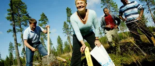 Därför kommer tallarna i Högfors att vinna över januariöverenskommelsen