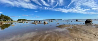 Läsarbilden: En dag på stranden