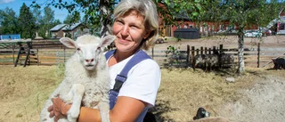 Fodertillgången redan säkrad för länets bönder