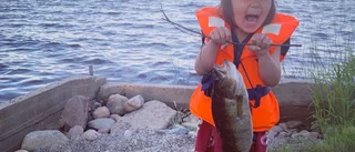Flera feta abborrar i Nappataget • Barnen står för fiskefesten
