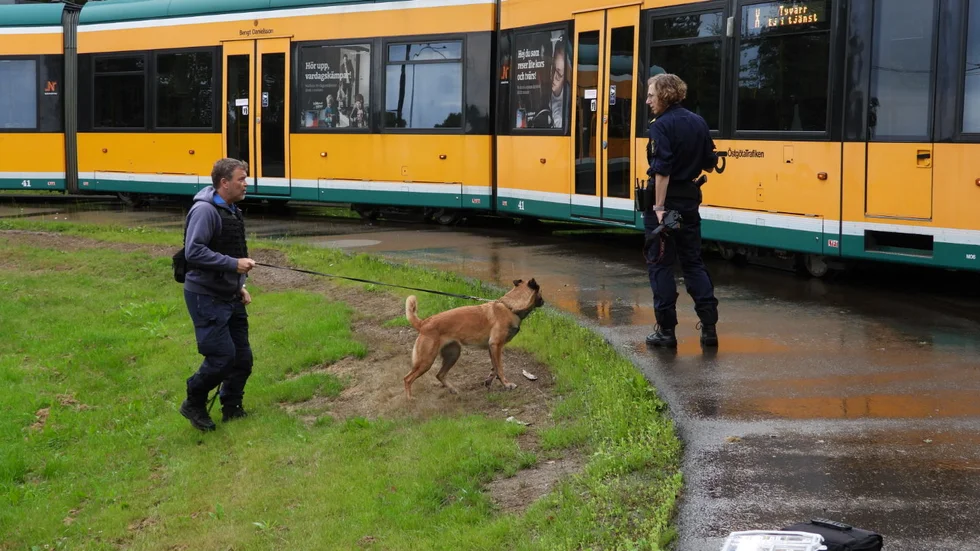 Polisen spärrade av ett område efter att ha fått in en anmälan om våldtäkt på midsommarafton.