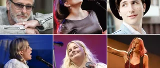 Återhämtad musiksommar –första konserterna efter pandemin: "Kommer att minnas det för livet"