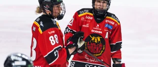 Hyllar Luleås stjärnor – som ska ta Sverige till OS: "Brinner i ögonen"