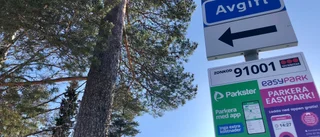Hur tänker Pitebo kring gästparkeringarna?