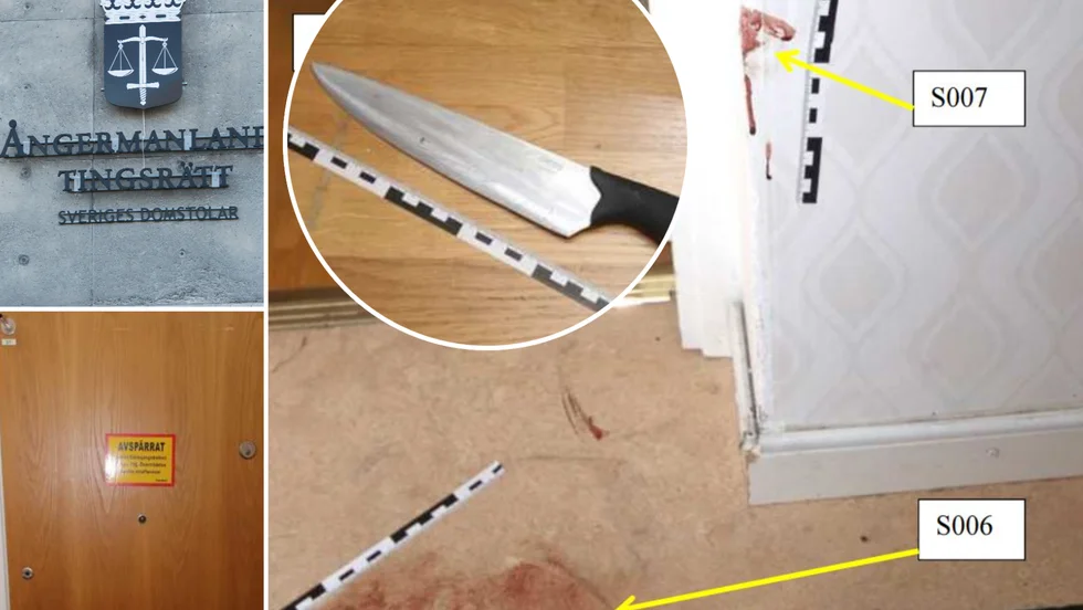 Tre unga män med anknytning till Eskilstuna åtalas vid Ångermanlands tingsrätt för mordförsök, grovt rån och grov misshandel.