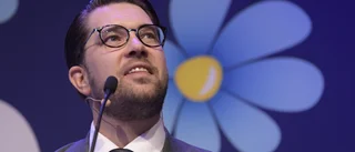 Åkesson: Svårare släppa fram en regering med L