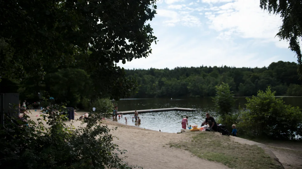 Strandskyddsutredningens förslag skulle öka privatiseringen av våra stränder, och och drabba växt- och djurlivet, skriver Maria Gardfjell och Kenneth Hällbom.