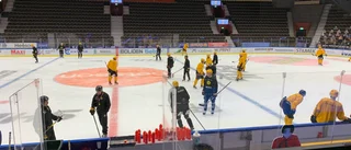 Ny målvakt på AIK:s träning – bekant ansikte tillbaka