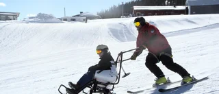 Få skidanläggningar erbjuder biskiåkning: "En bråkdel"