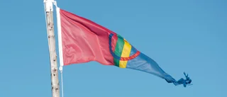 Vad hände med skogssameutredningen?