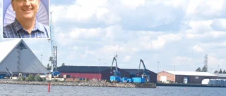 Logistik i hamnar öppnar nya dörrar för Datapolarna – virkespaket först ut: ”Det har varit hysteriska priser” 