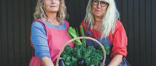 Efter den veganska julkokboken – Sörmländska författarduon släpper nytt