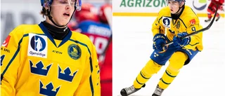 LHC-talangerna om VM-chansen: "Kan aldrig vara säker"