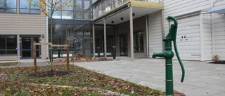 Ompröva beslutet om centralkök på Kopparsvanens äldreboende