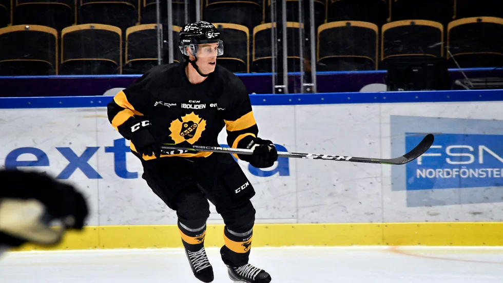 Skellefteå AIK:s nyförvärv Robin Alvarez är revanschsugen.