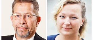 SD vill se fler ställplatser för husbilar – för att möta turisttrycket