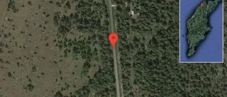 Fallna träd skapar problem i trafiken på väg 684
