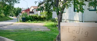 Allt fler hittar hem i Mjölby och Åtvidaberg