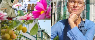 Anettes trädgårdscafé – Påtårarna duggar tätt i oasen "Här är det ett fantastiskt lugn"