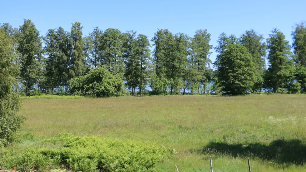 Mellan träden skymtar Hulingens blå vatten. Här är det meningen att det ska bli ett nytt bostadsområde och nu är tomtpriserna fastställda.