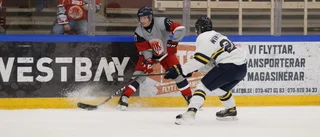 Myles Powells solomål sänkte HV71