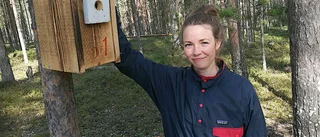 Boden har fått pippi på holkar • 30 är inflyttningsklara på Gruvberget"